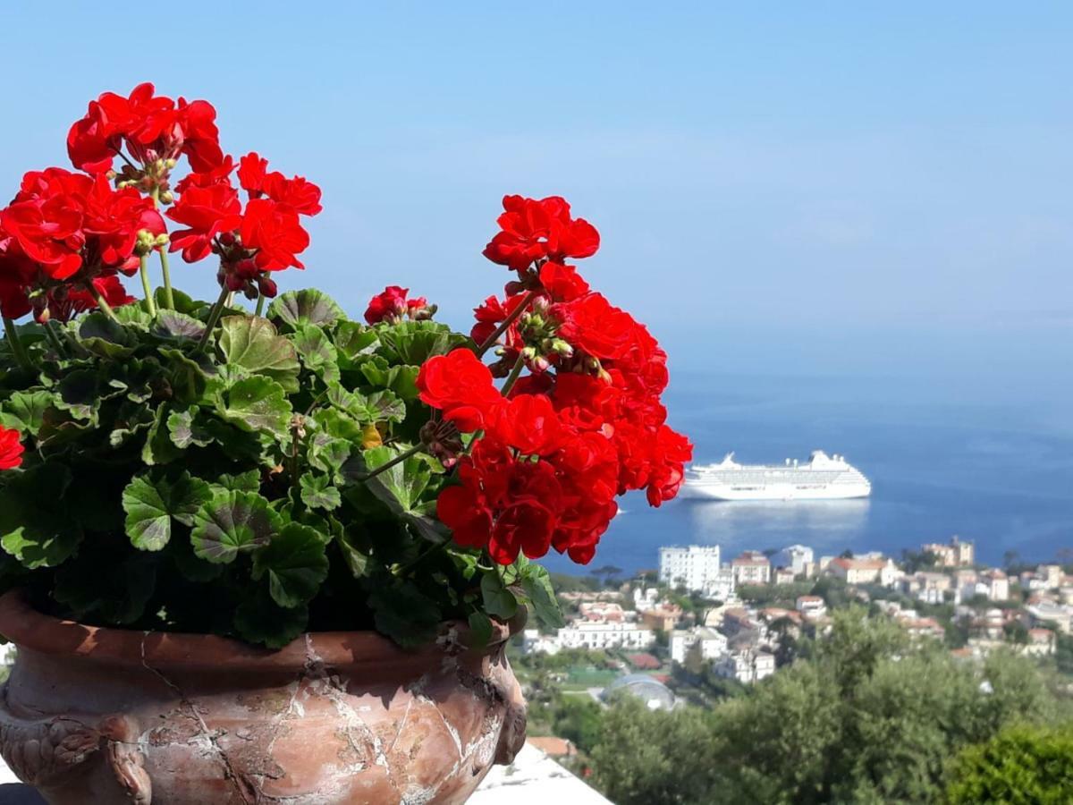 Le Muse Suite Półwysep Sorrentyński Zewnętrze zdjęcie